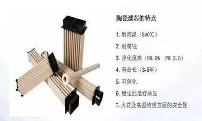 脫硫除塵新技術(shù)引領(lǐng)行業(yè)變革，東獅公司共襄智慧綠色工廠盛會